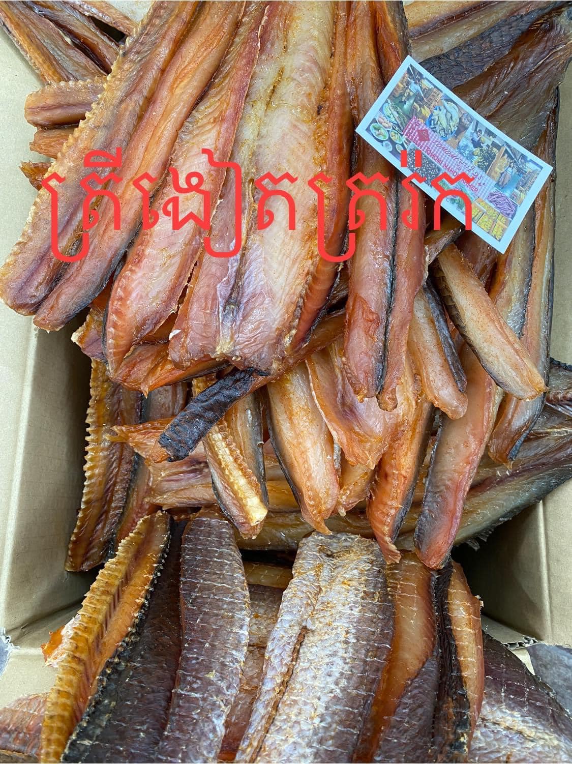 ត្រីងៀតលេខ១